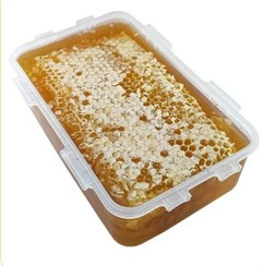 تصویر عسل موم دار کنار گل خرما استان بوشهر ۱۳۰۰ گرم عسل باغات درخت کنار استان بوشهر منطقه جم وریز