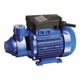 تصویر پمپ آب یک اسب محیطی KPm 100 الکتروژن Electrogen Electrogen PERIPHERAL water Pump KPm 100