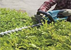 تصویر شمشاد زن برقی ماکیتا مدل UH4570 