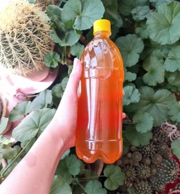 تصویر سرکه سیب خانگی 