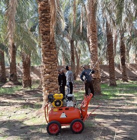 تصویر دستگاه گرده افشان نخل افزارو مدل AP plus 