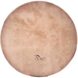 تصویر فروشگاه ساز اکسپرس