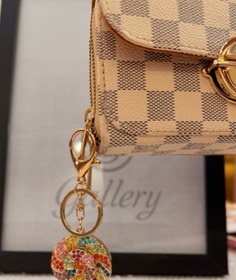 تصویر جاکلیدی و آویز کیف 