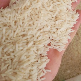 تصویر برنج طارم هاشمی کشت دوم مازندران 10 کیلویی ارسال رایگان 