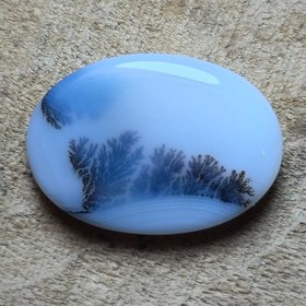 تصویر شجر قائن زمینه سفید زیبا 