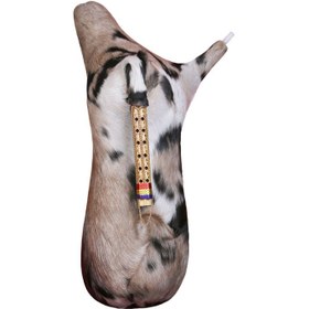 تصویر نی انبان 