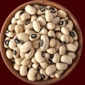 تصویر بذر لوبیا چشم بلبلی 30 عددی 