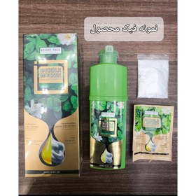 تصویر شامپو رنگ مو بابل موس حجم ۵۰۰ میلی لیتر تستردار 