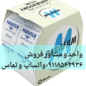 تصویر نوار پیوند تاجی بیمس آمریکایی 38 متری گردو و انگور و درخت 