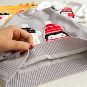 تصویر گپ پنگوئن 