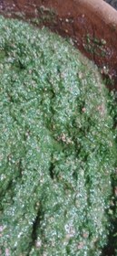 تصویر مواد زیتون پرورده 