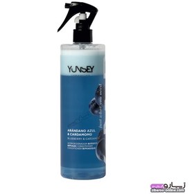 تصویر اسپری مو یانسی YUNSEY مدل CONDITIONER BIPHASIC BLUEBERRY & CARDAMOM دوفاز حجم 500ml اصل اسپانیا 