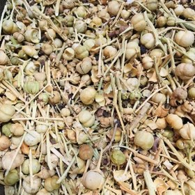 تصویر دونه اسپند نخودی200گرم 