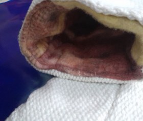 تصویر دستکش نسوز سرامیکی 