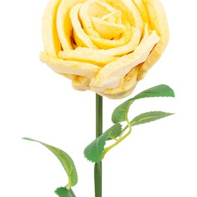 تصویر سیب خشک 