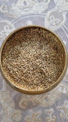 تصویر مالت جو [۱۰ کیلویی] 