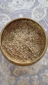 تصویر مالت جو 