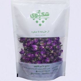 تصویر گل محمدی 