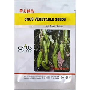 تصویر فروشگاه بذر بازار