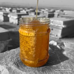 تصویر عسل چند گیاه موم دار - ارگانیک - وزن-خالص: یــک کیلـویی + ضمانت اصالت 