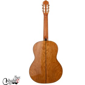 تصویر گیتارریچاردبونل مدل 825 