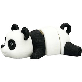 تصویر پاندا تپل 