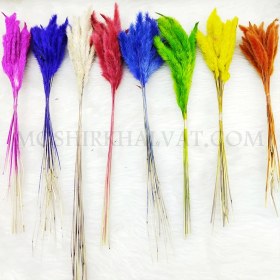 تصویر گل خشک مدل دم روباهی 