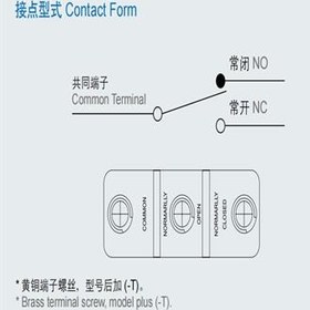 تصویر میکروسوئیچ CNTD مدل CM-1703 اهرمی قرقره دار 
