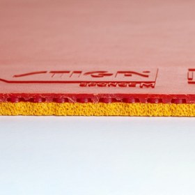 تصویر رویه راکت استیگا DNA Pro M 