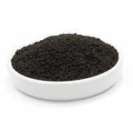 تصویر کله مورچه(CTC) 