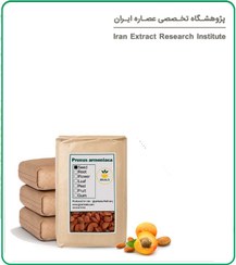 تصویر مغز هسته زردآلو بوداده فله 