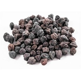 تصویر نخود سیاه 