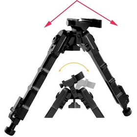 تصویر دوپایه متحرک 