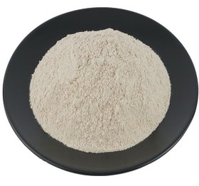 تصویر ایزی ناگت 