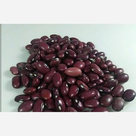 تصویر لوبیا قرمز دست چین یک کیلویی 