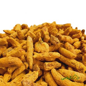 تصویر زردچوبه گیلامی ( Gilamie Curcuma Longa ) 