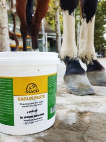 تصویر گچ تاندون دیاکو (Kaolin Paste) 