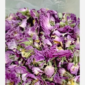 تصویر گل محمدی 