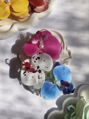 تصویر کلیپس ارکیده - کد 964 