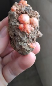 تصویر آنالسیم 