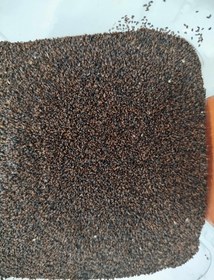 تصویر تخم (بذر) بارهنگ - ۵۰ گرم Plantain seeds