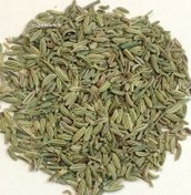 تصویر گیاه دارویی رازیانه (50 گرم بذر خشک) Foeniculum vulgare 