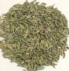 تصویر گیاه دارویی رازیانه (50 گرم بذر خشک) Foeniculum vulgare 