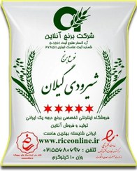 تصویر برنج شیرودی گیلان 10 کیلوگرم برنج آنلاین 