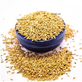 تصویر تخم کتان مخصوص قناری Linseed For Canaries