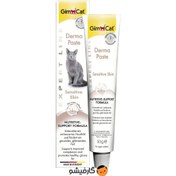 تصویر خمیر پوست و مو درما گربه جیم کت (Gimcat Derma Paste) جیم کت گربه