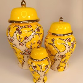 تصویر جینجر جار زرد آیتوس 