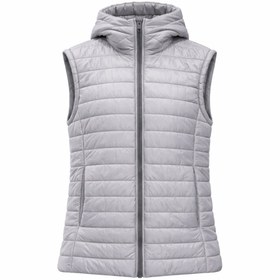 تصویر پافر نقره ای 