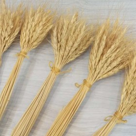تصویر گندم رنگی و طبیعی رنگ طبیعی (3۰ شاخه ای)