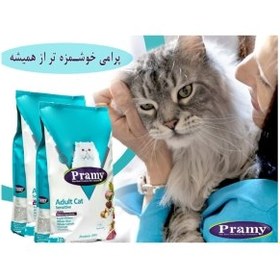 تصویر غذای خشک پرامی مخصوص گربه های حساس 1.5kg 